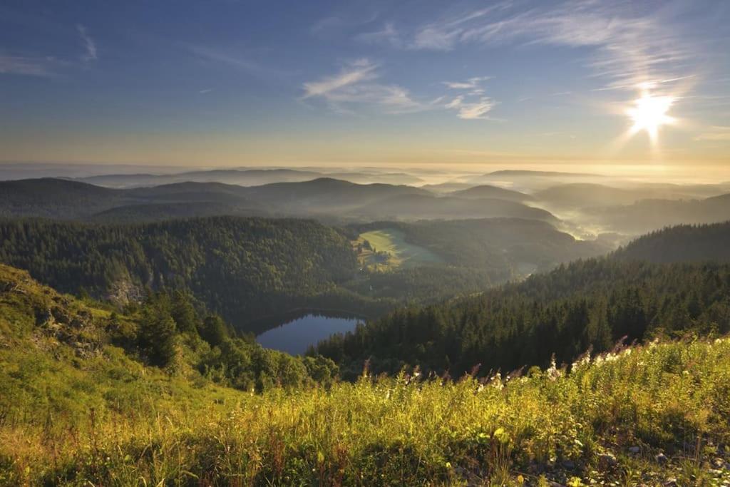 Niki * Titisee-Neustadt