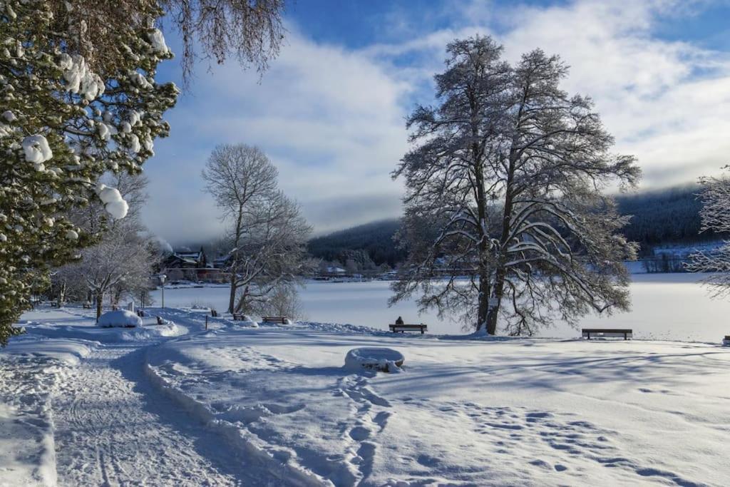 Niki * Titisee-Neustadt