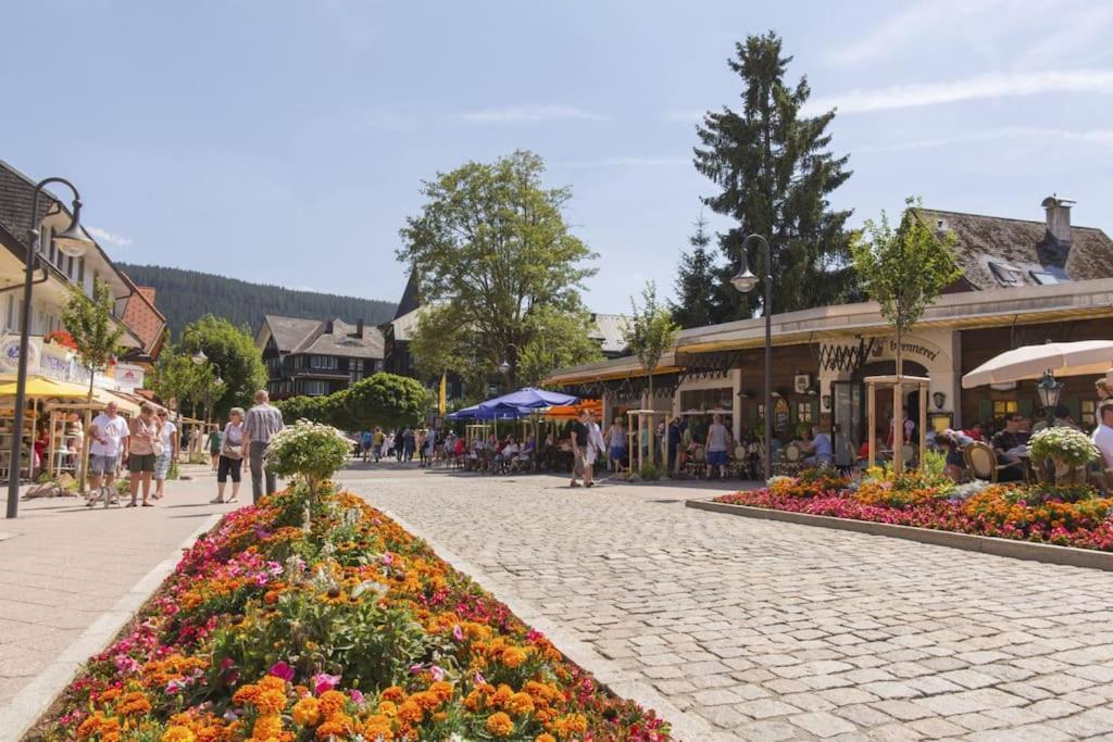 Niki * Titisee-Neustadt